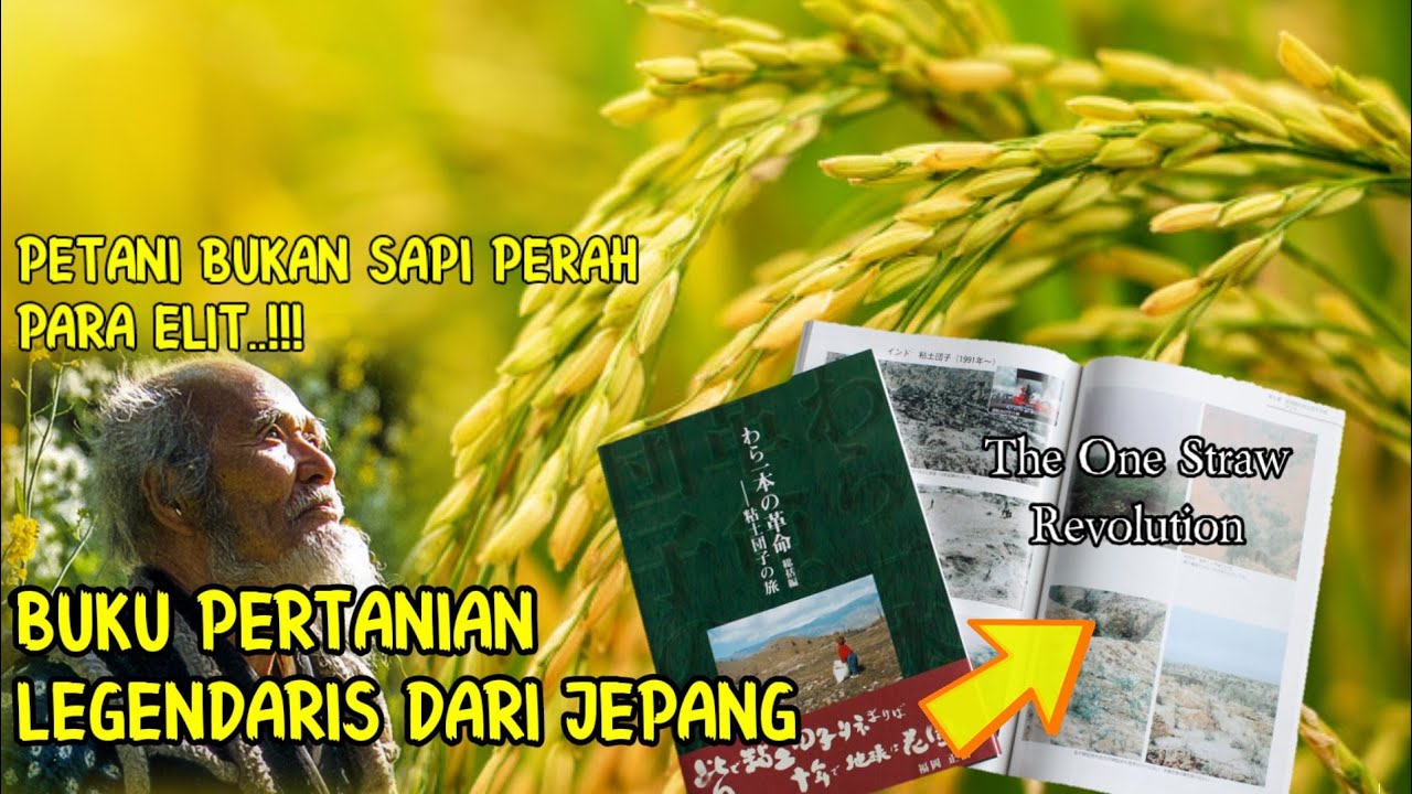 inilah salah satu filosofi pertanian terbaik sepanjang masa (Masanobu Fukuoka)