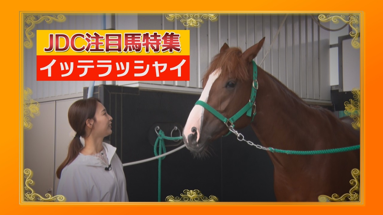 ジャパンダートクラシック(JpnⅠ）注目馬特集①【イッテラッシャイ号】