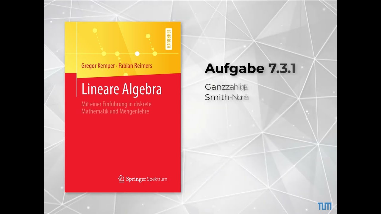 Aufgabe 7.3.1, Ganzzahliges LGS und Smith-Normalform, Lineare-Algebra-Buch (Kemper, Reimers)