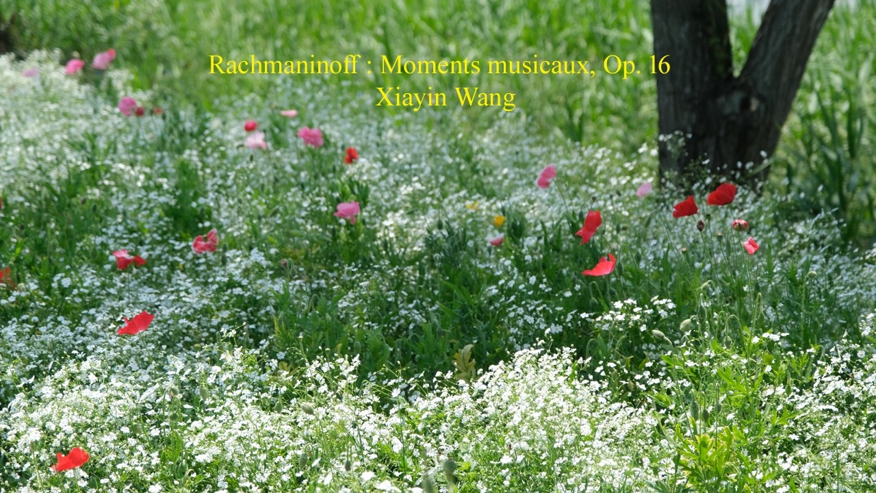 Rachmaninoff : Moments musicaux, Op. 16