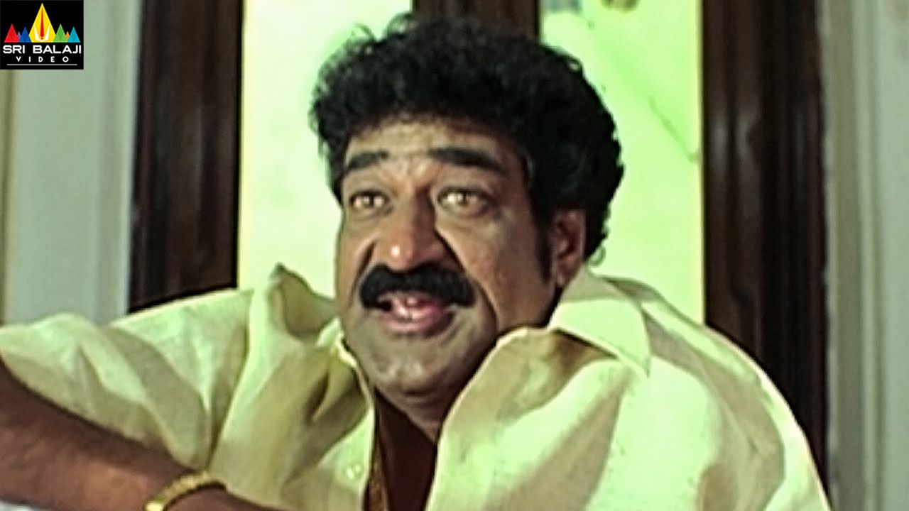 Raghu Babu Comedy Scenes Back to Back | Vol 2 | Non Stop Telugu Comedy  | Sri Balaji Video