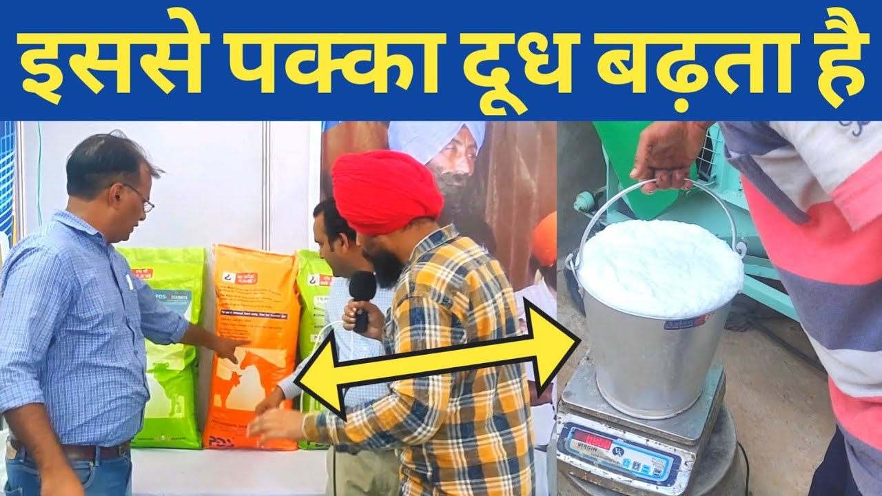 Best Minral Mixture by PDS|How to increase milk of cow/Buffalo with Minral's