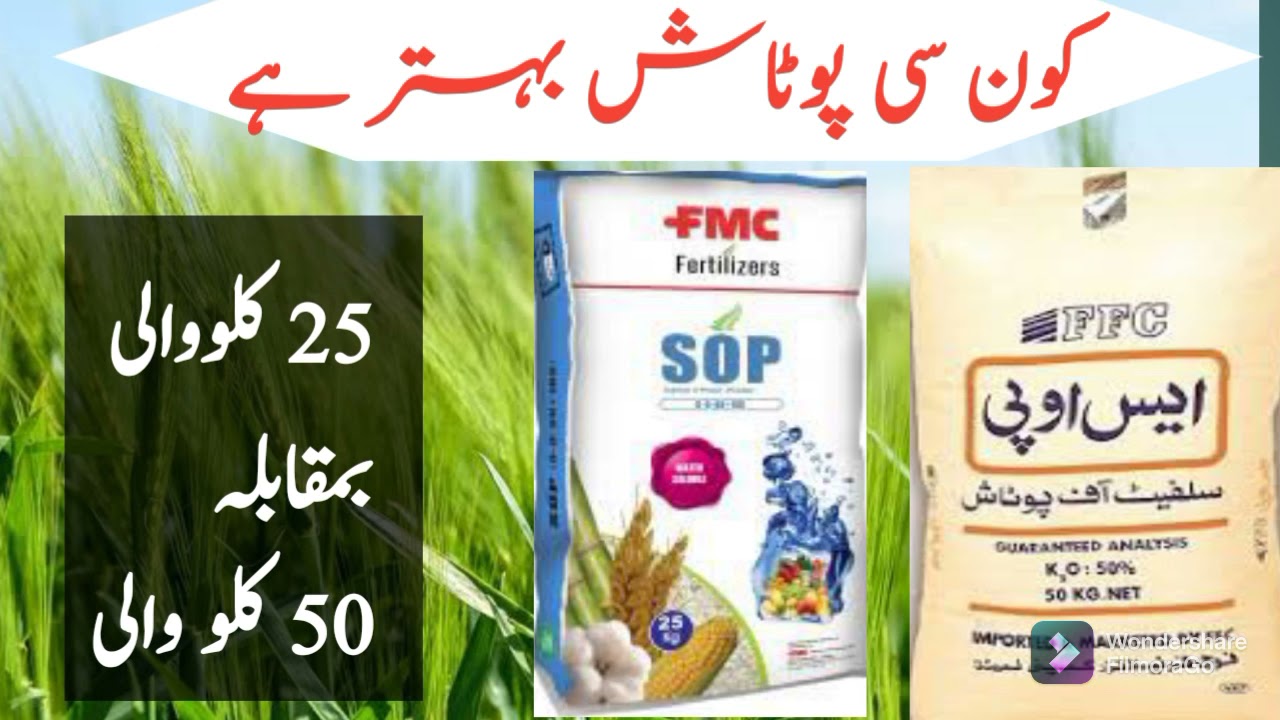 What is difference between 25 kg SOP and 50 kg SOP fertilizer | What is soluble potash