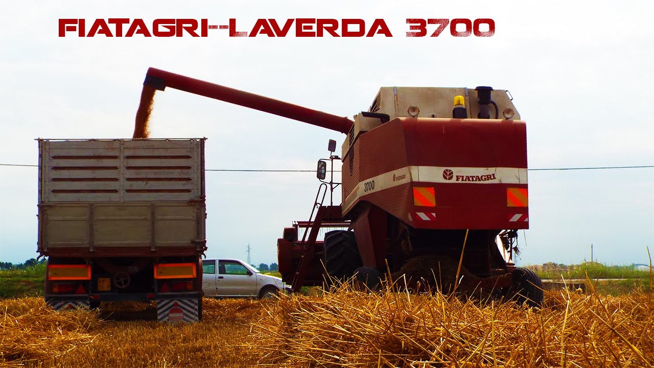 Agricultural-Work Trebbiatura con Fiat-Laverda 3700
