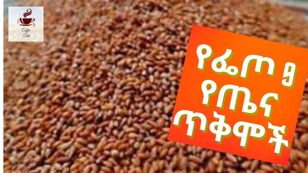 የፌጦ 9 የጤና ጥቅሞች (feto 9 best uses) coffee tube2021