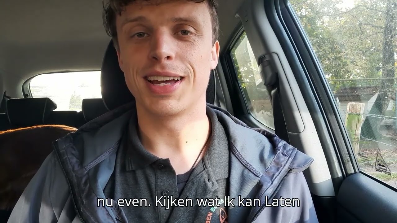Hoe Wandel je met je Hond in Echt Contact? Praktische Tips & Voorbeelden
