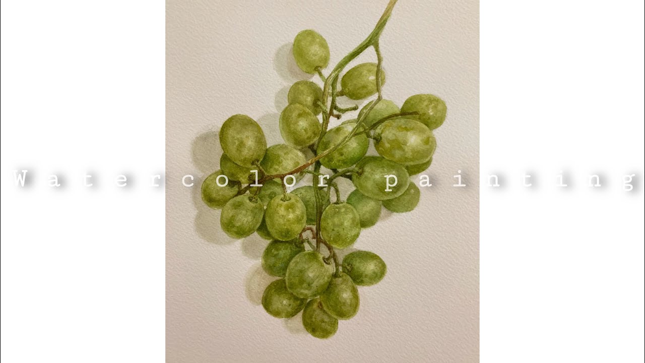 How to paint a realistic green grape in watercolor / 포도 수채화 / Peinture à l'aquarelle