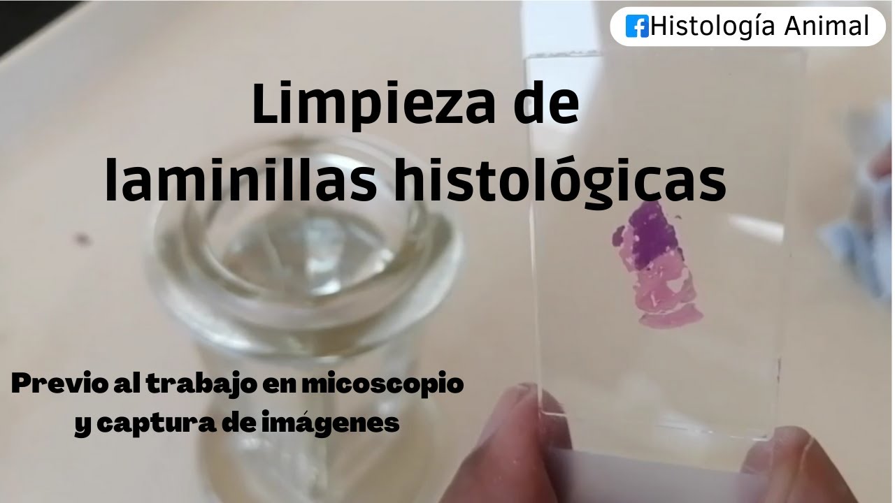 ¿Cómo realizamos la limpieza de laminillas? - Retiramos exceso de resina y suciedad.