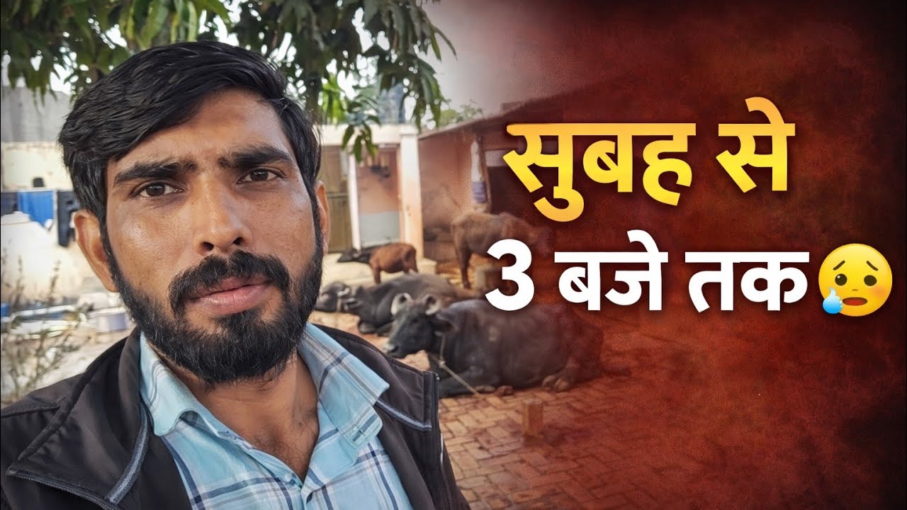 सुबह से 3 बजे तक काम 😓 | गाँव की असली ज़िंदगी