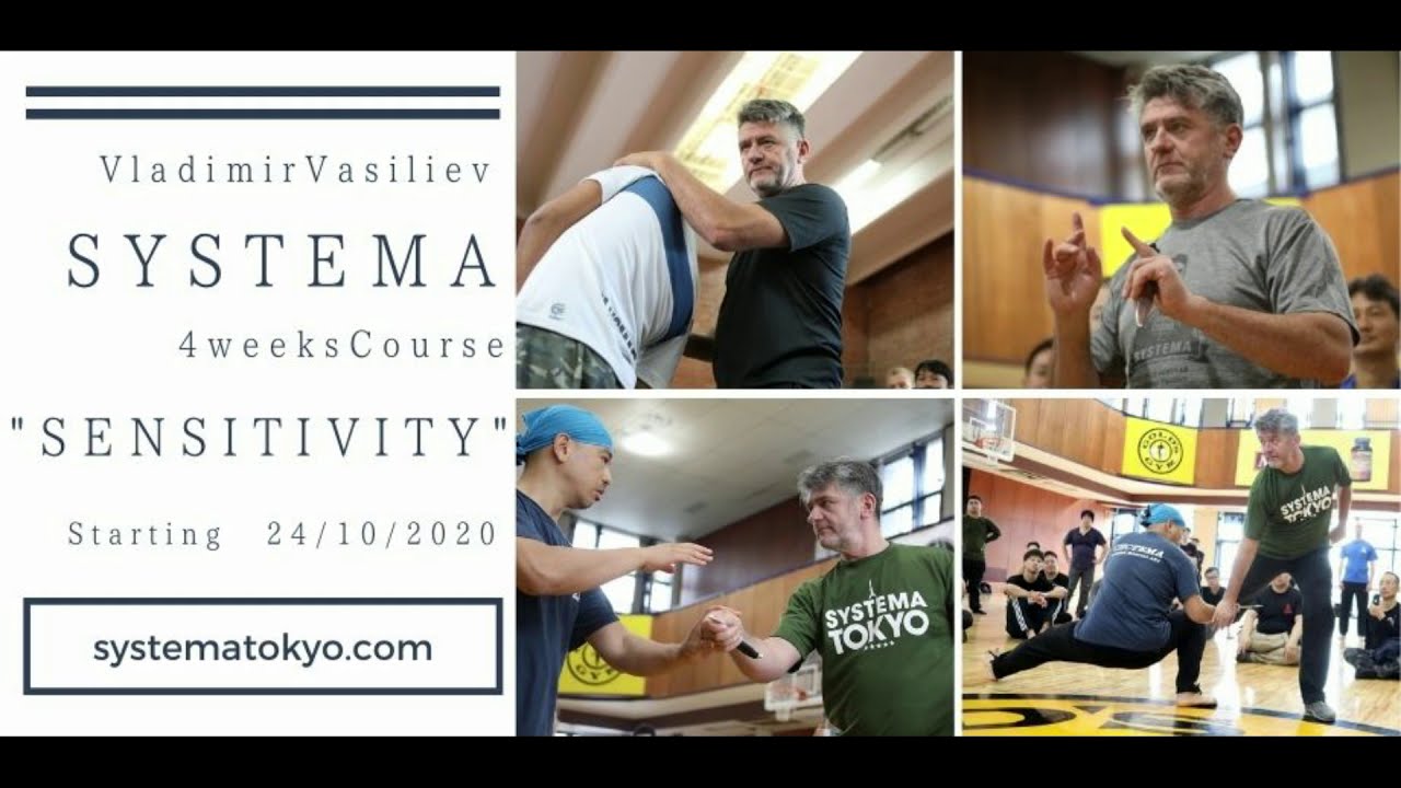 Systema Strike with elements of internal work & sensitivity. Vladimir Vasiliev