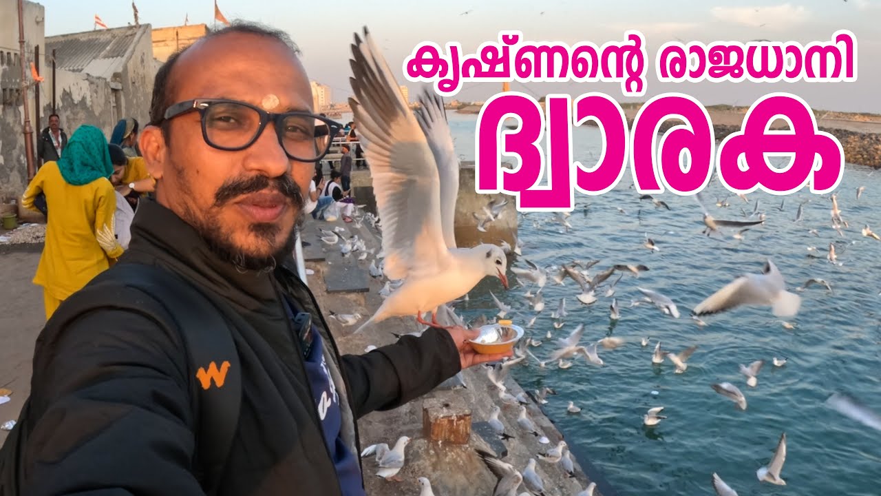 ദ്വാരകാദർശനം | ശ്രീകൃഷ്ണൻ്റെ രാജധാനി Dwarka | City of Lord Krishna #dwarka #jaishreekrishna