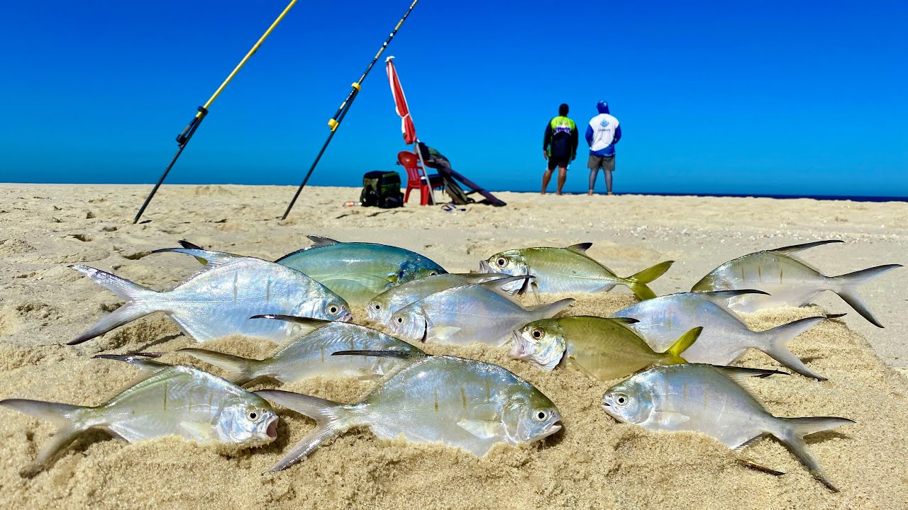 PESCA DE PRAIA com TÉCNICAS INFALÍVEIS para FISGAR MUITOS PEIXES. BALDE VAZIO NUNCA MAIS.
