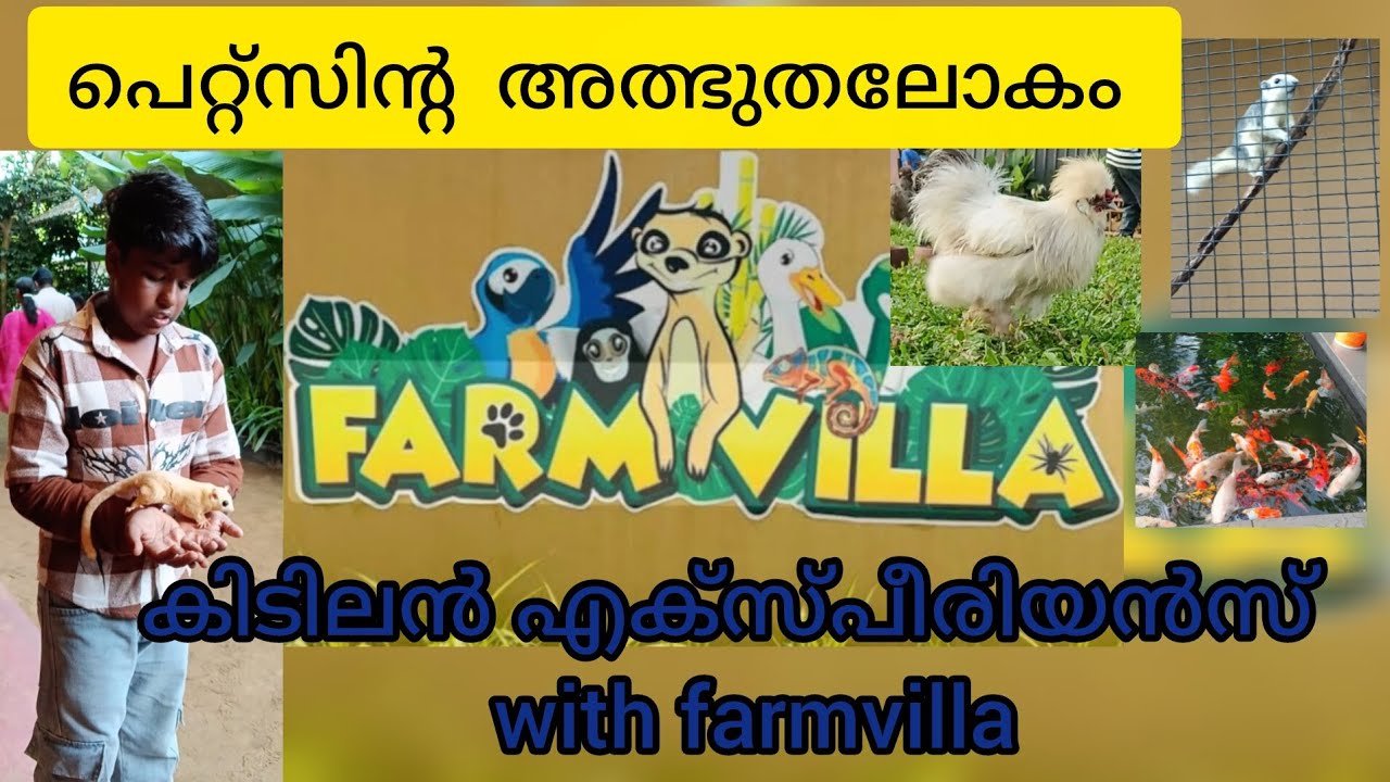 Farm villa chavakkadu #travel #youtubevideo 