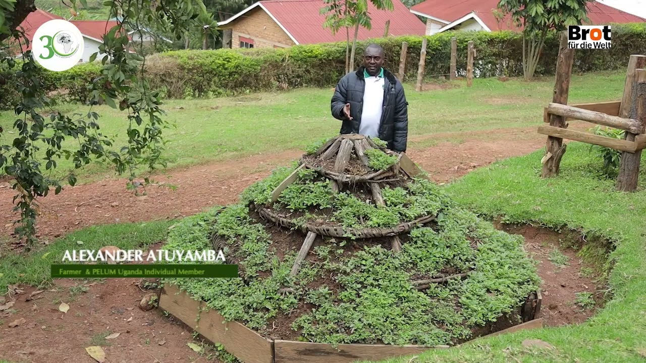 Agroecological Best practicies: Transforming agriculture, one plot at a time.