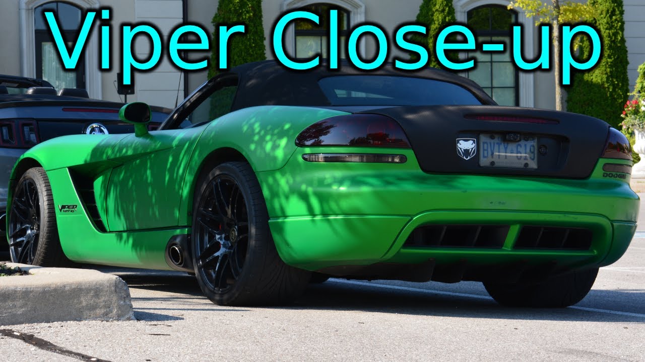 Viper Close-Up