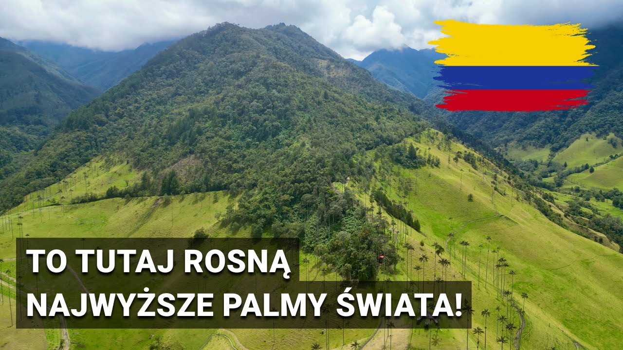DOLINA VALLE DE COCORA - NAJWYŻSZE PALMY NA ŚWIECIE + SALENTO // KOLUMBIA