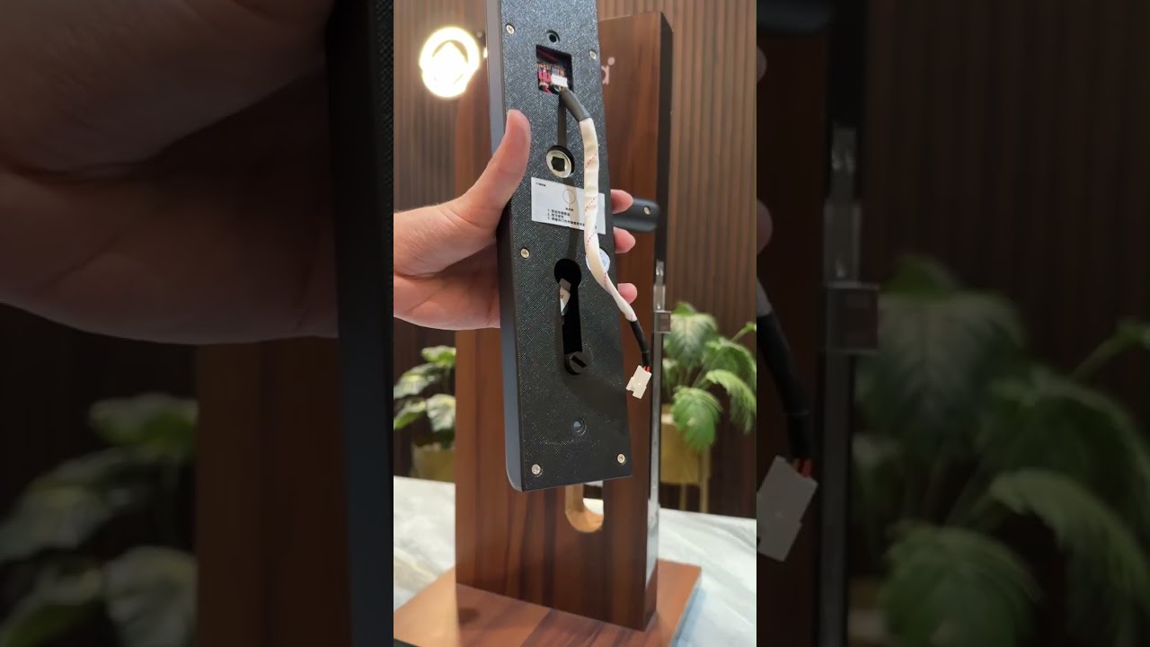 Elara Echo Lite Smart Lock Installation Video