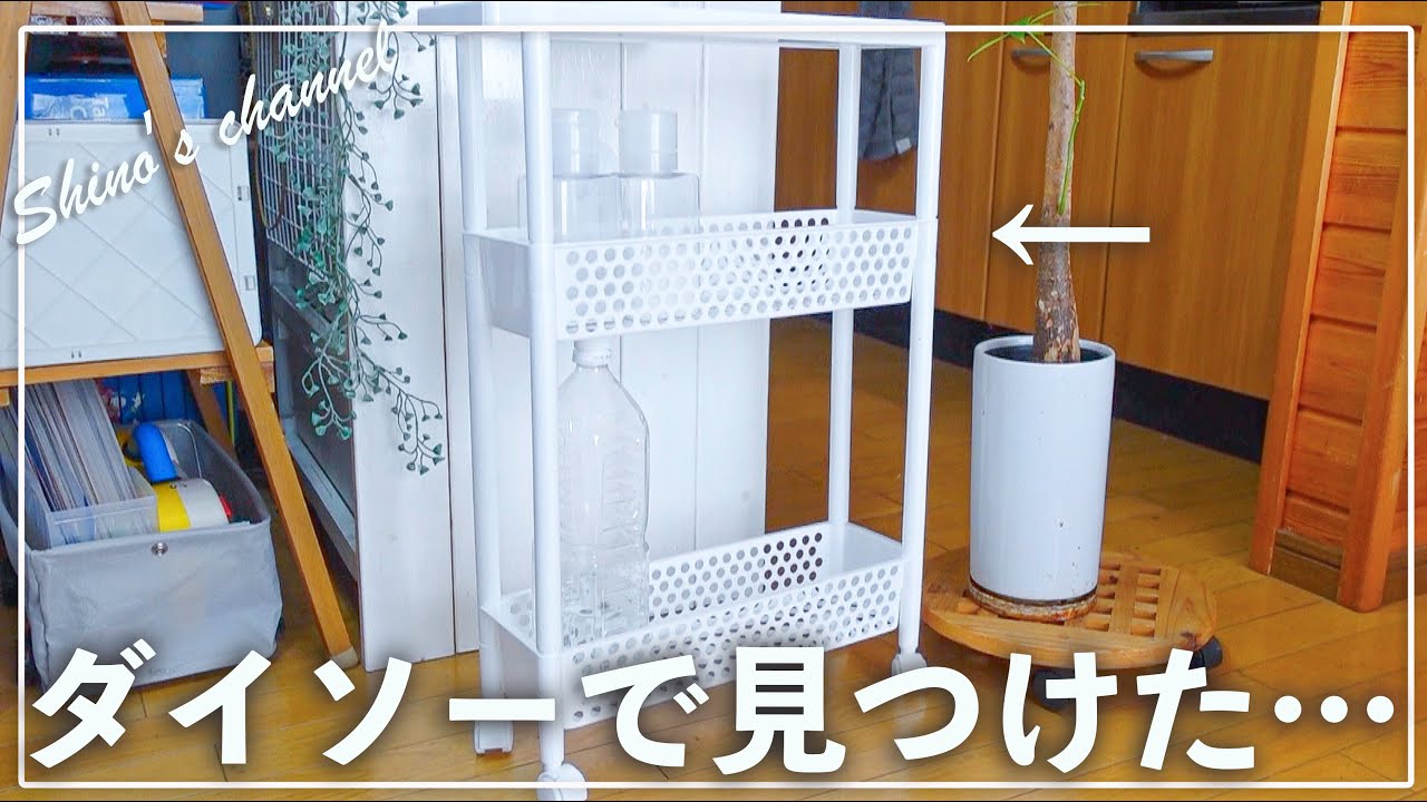 【ダイソー&セリア】SNSで話題沸騰中‼︎ これが100均だなんて…収納•キッチン•便利グッズetc…