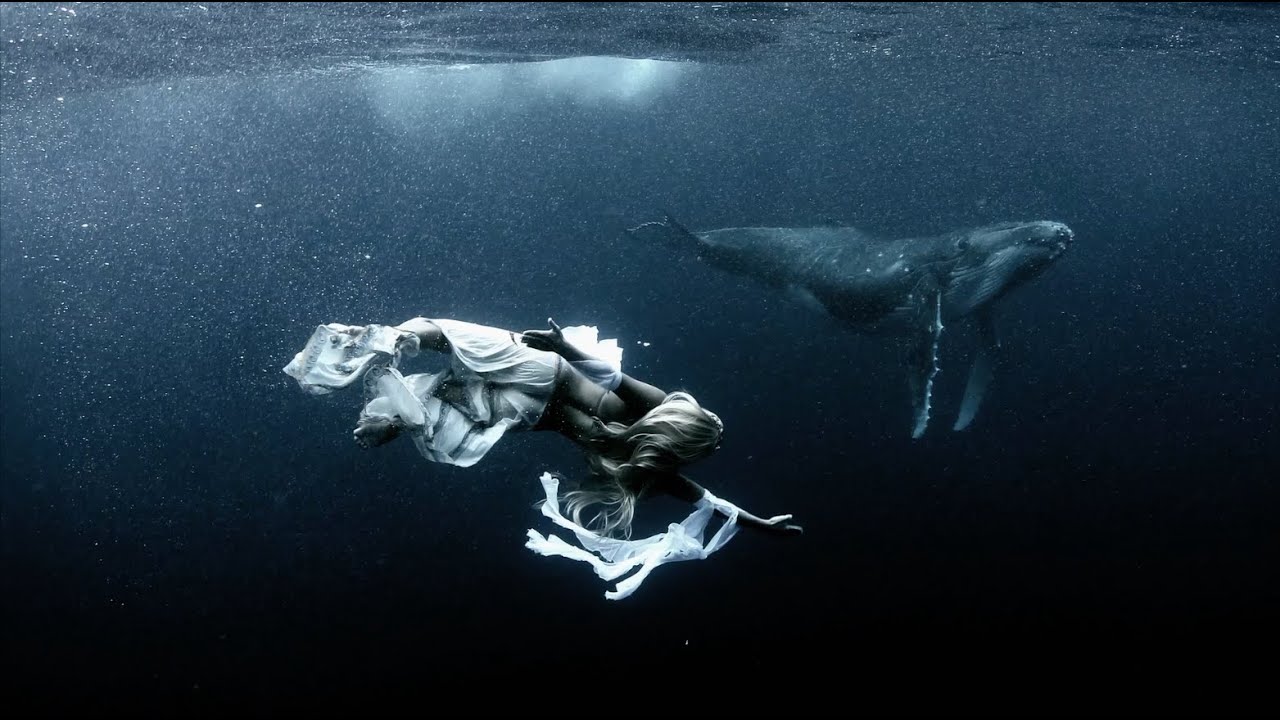 OCEAN BLOOM ~ Hannah Mermaid Reel 2025