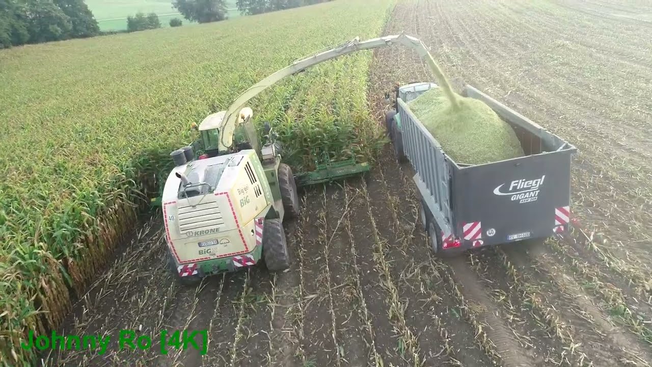 Maishäckseln 2023 Teil 14 LU Biggel mit Krone Big X 1100, JCB, Fendt Deutz [4K]