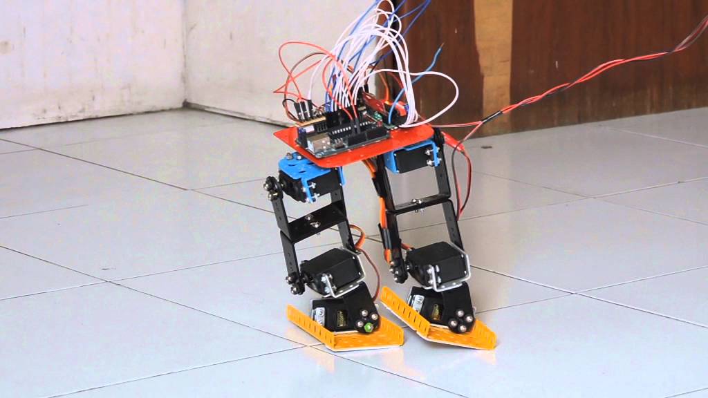 6 DOF Biped Humanoid Robot with multitasking capabilities