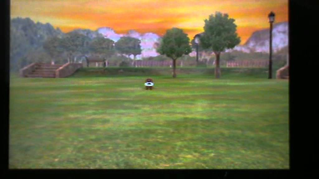 nintendogs + cats le déroulement des entrainement avec mes bout de chou ! 1/3
