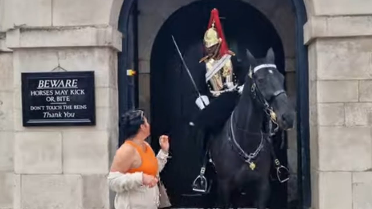 Disrespectful family 4 rein grabs 2 shouts police called #thekingsguard