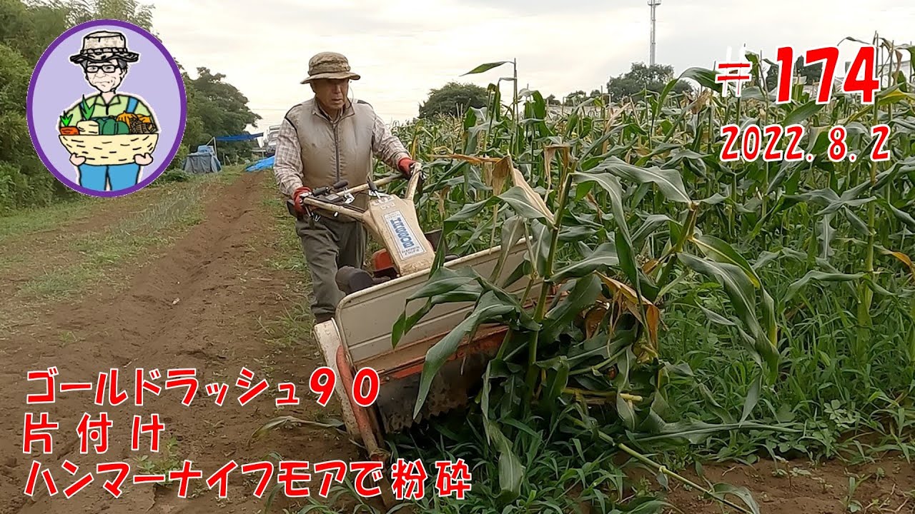 とうもろこし・片付け、ハンマーナイフモアで粉砕する　第174話　【オーガニック栽培】