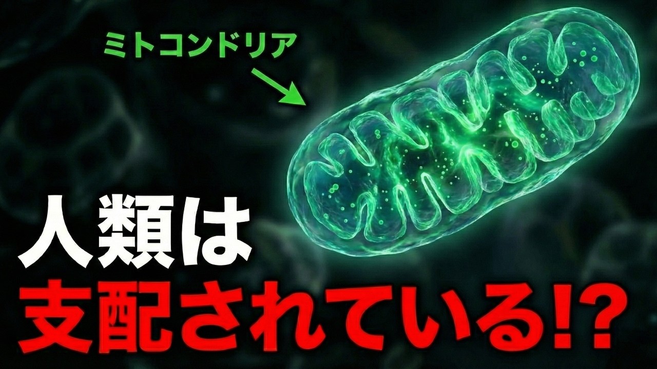 ミトコンドリアの脅威の影響力…私たちは支配されている？