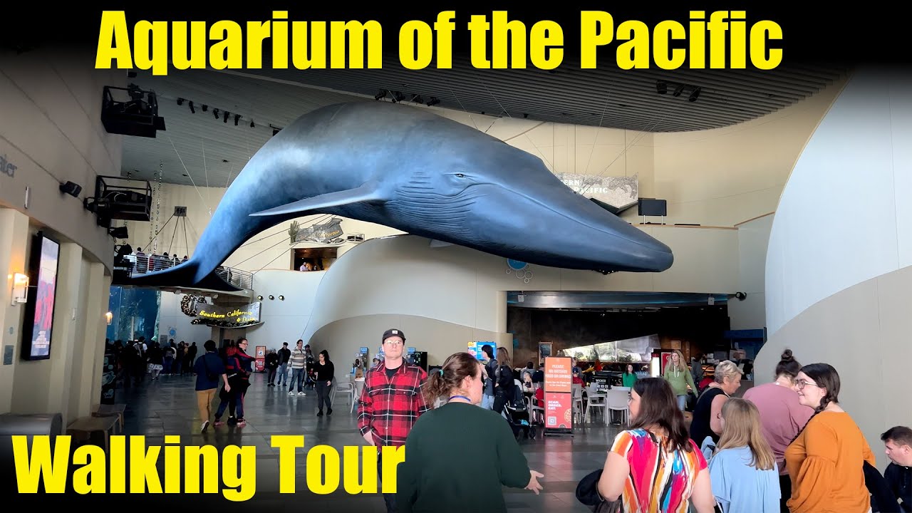 Aquarium of the Pacific - Long Beach - Walking Tour 4K - 2023 - Long Beach Aquarium