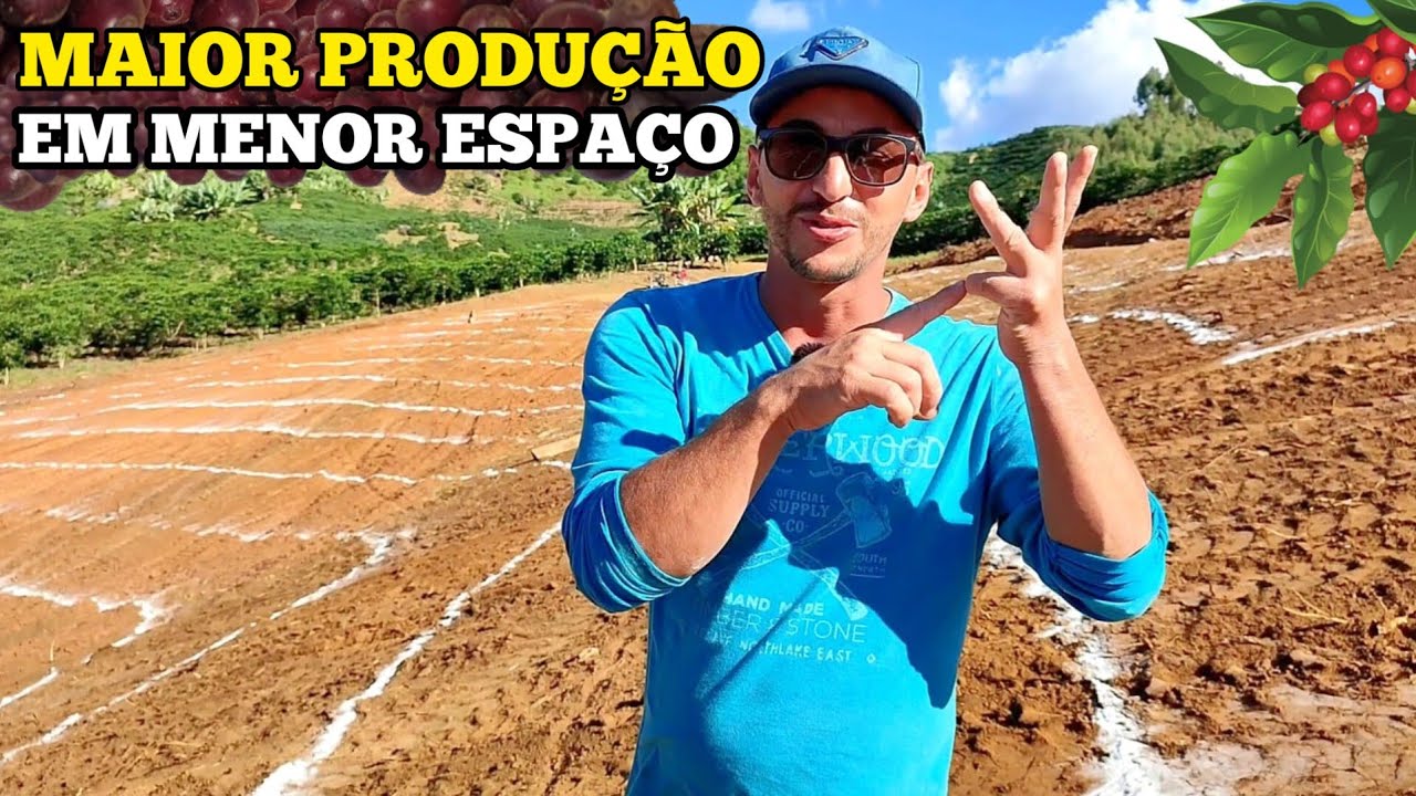 🌱NÃO PLANTE CAFÉ ANTES DE ASSISTIR ESSE VIDEO