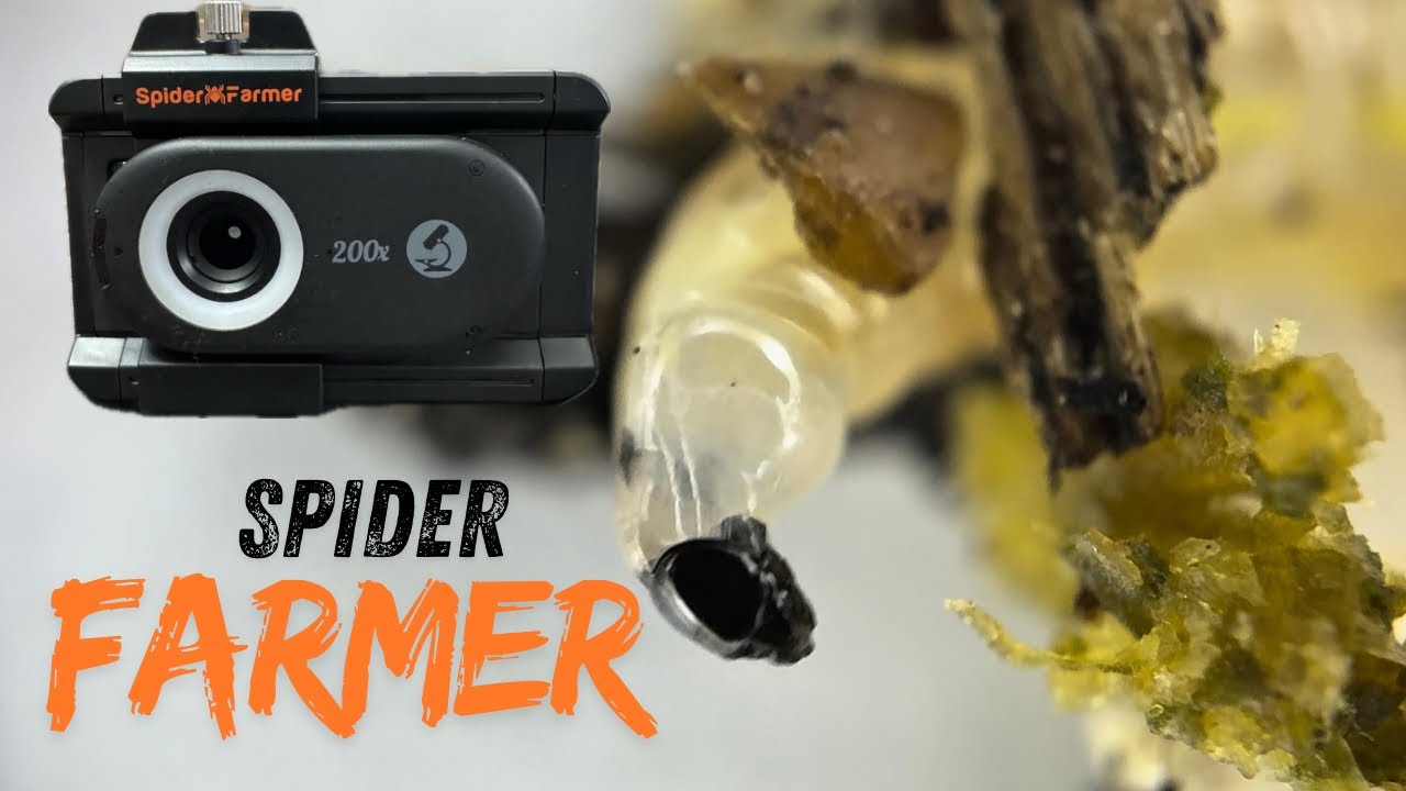 Увеличитель для микроскопа Spider Farmer 200X для трихом @SpiderFarmer