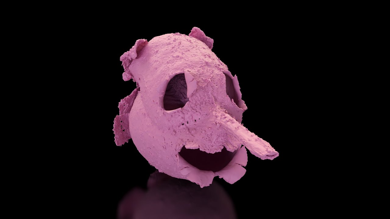 X-Ray Microscopic Examination - Snapdragon (Antirrhinum) Seed Pod and Seeds - SkyScan 1272