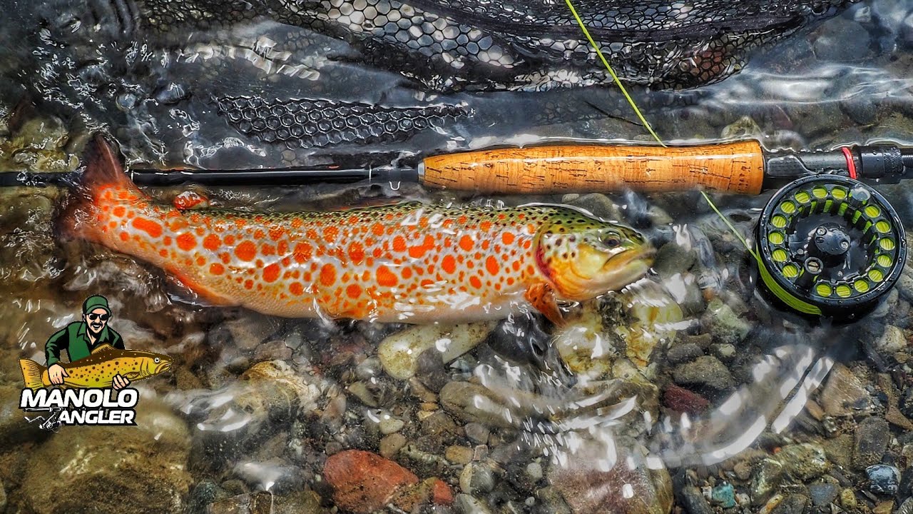 Pesca a Mosca in alta Val Trebbia - Riserva Gorreto