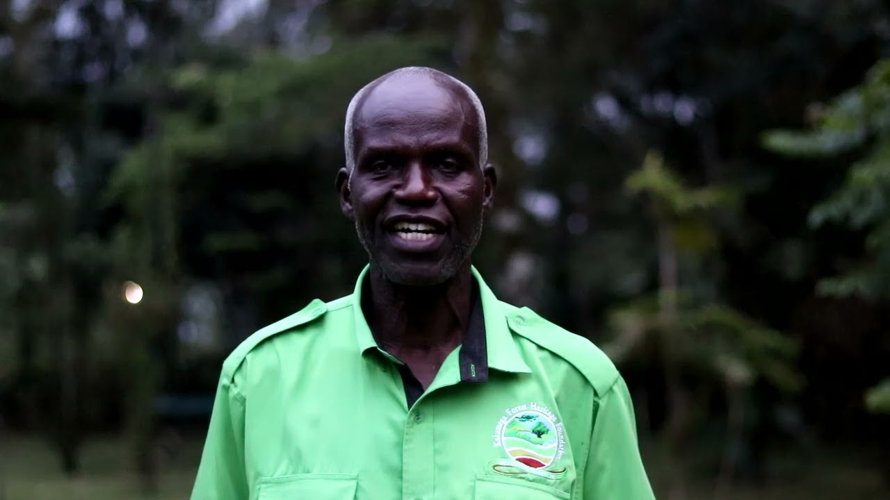THE KAKAMEGA FOREST...