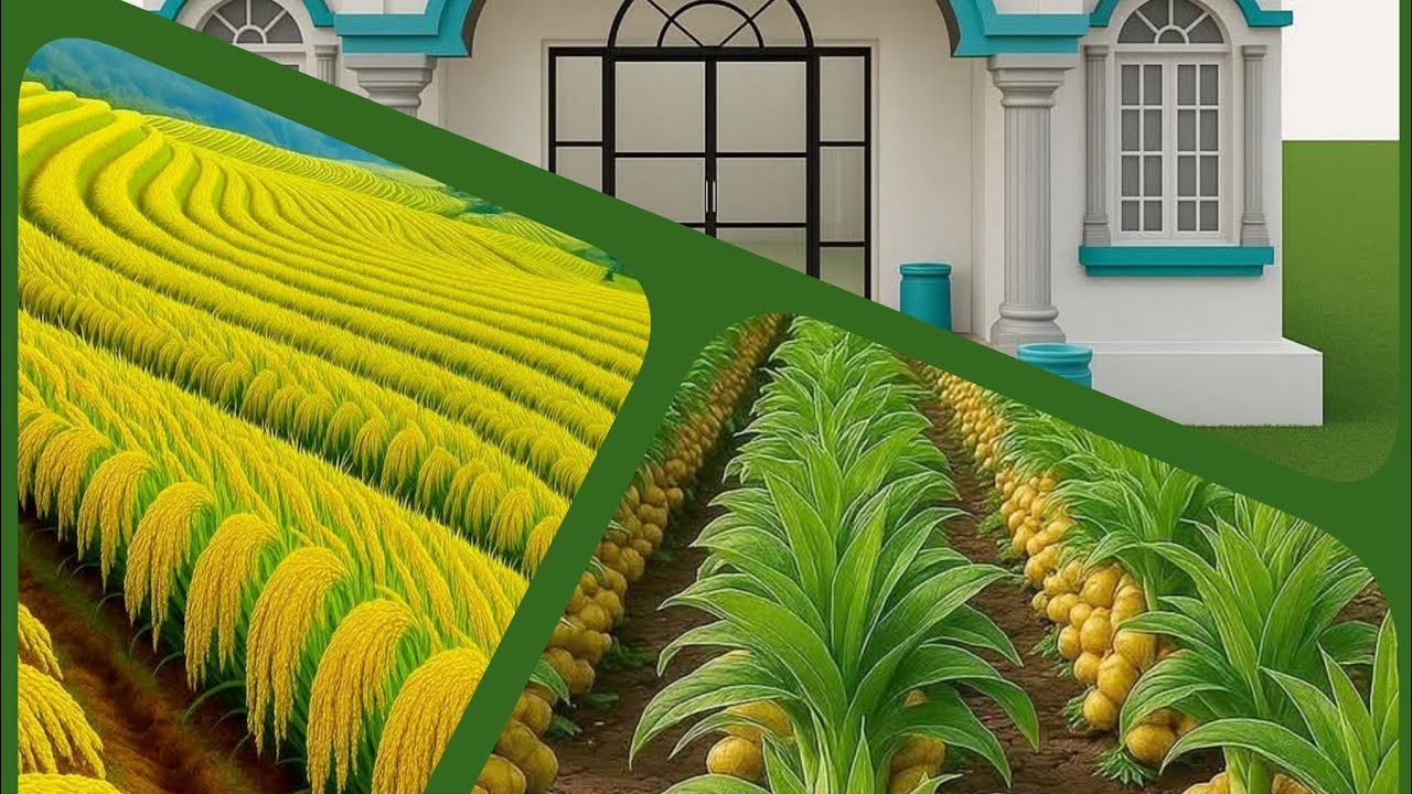 💐💐💐ሠላም።አትዘን።አላህ።መአና።🌻🌻🌻🌻🌻🌻