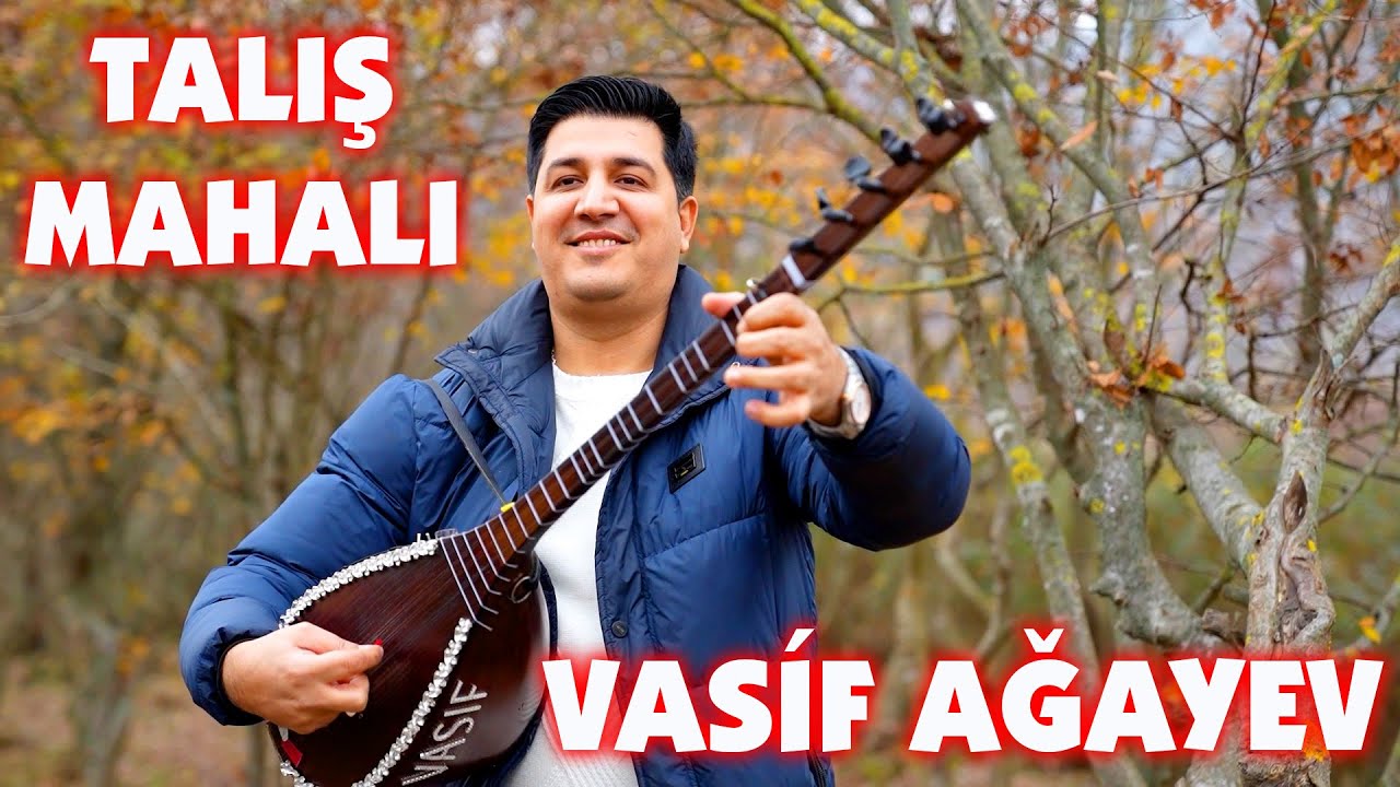 Vasif Agayev - Talış Mahalı (Toloşə məhol) - 2026