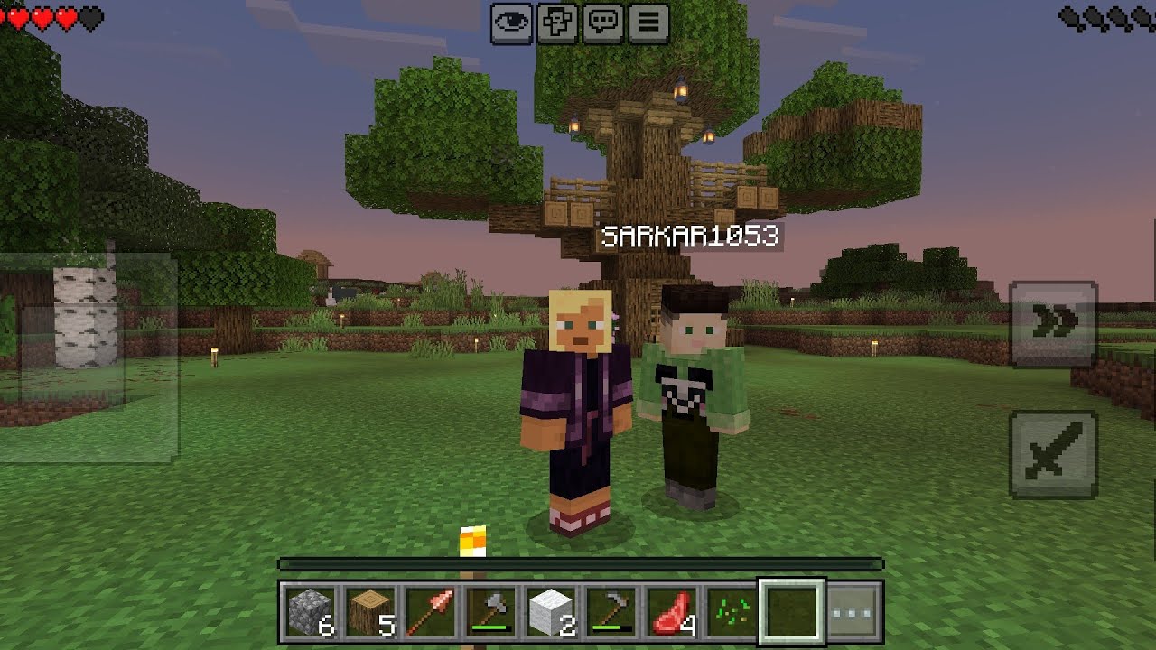Ham friend ke shath Minecraft journey  start kar rahe hain 