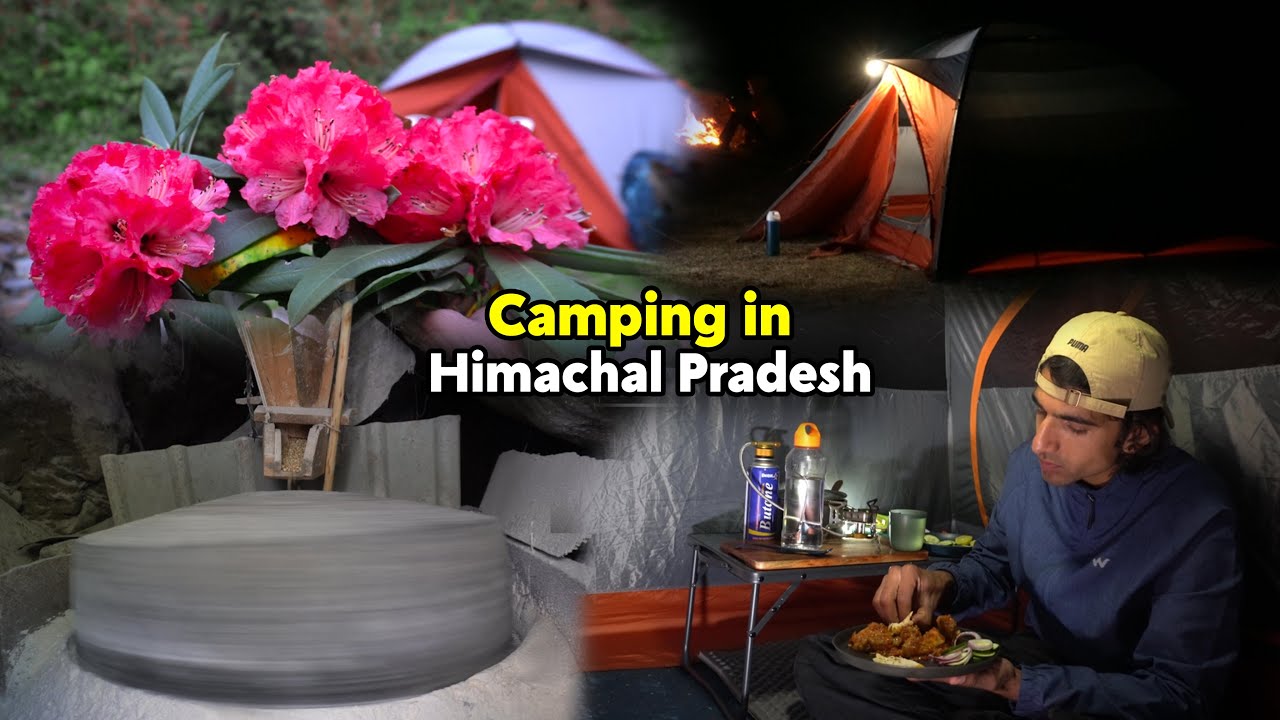 Traditional Camping In Himachal Pradesh | Village Camping | Solo Camping | ASMR Camping