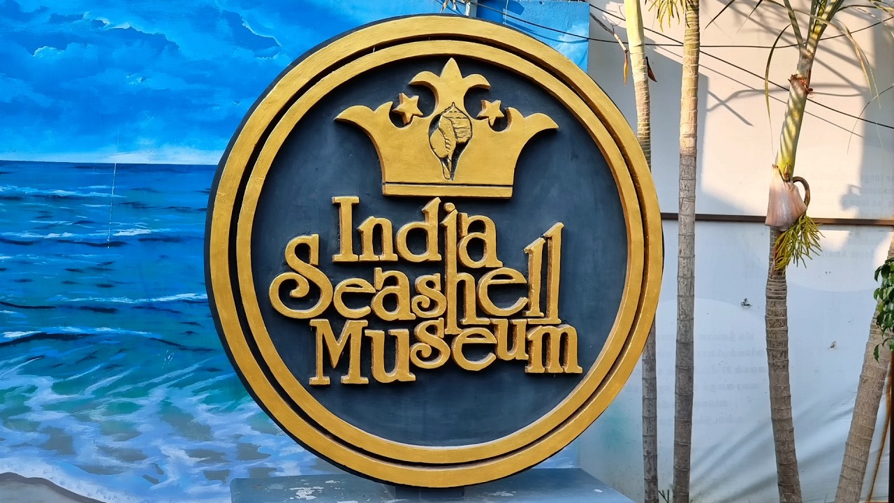 Muzeum Muszli w Indiach | Wyjątkowa atrakcja w Mahabalipuram | Od rzadkich muszli po park dinozau...