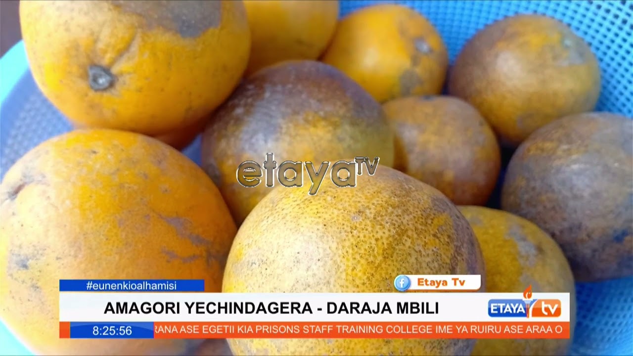 Goods prices today at Daraja Mbili market