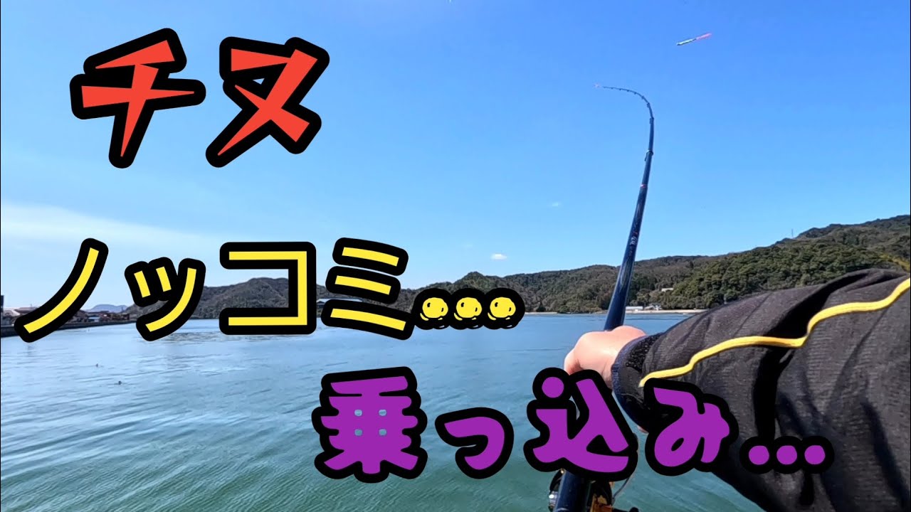 チヌのノッコミ…されど乗っ込み…久しぶりにやらかしました✌️