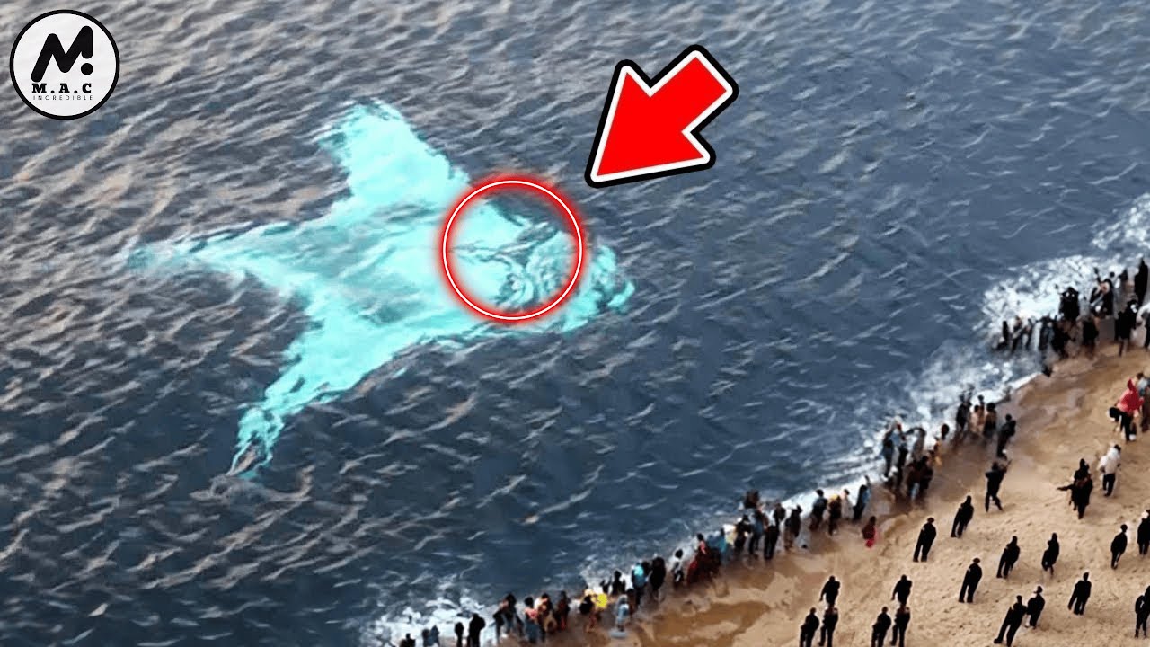 Incredible Moments Caught On Camera | Best Of Month (48)