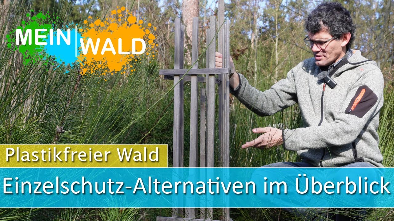 🌱🌲Plastikfreie Wuchshüllen - Wie gut sind sie wirklich?