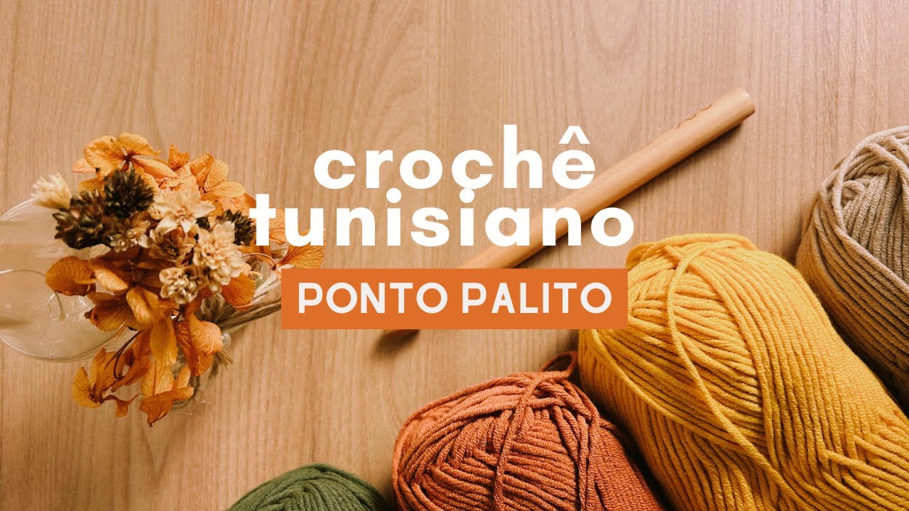 CROCHÊ TUNISIANO PARA INICIANTES | PONTO PALITO