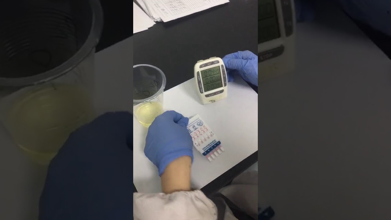 5 panel Urine Drug Test Dipcard