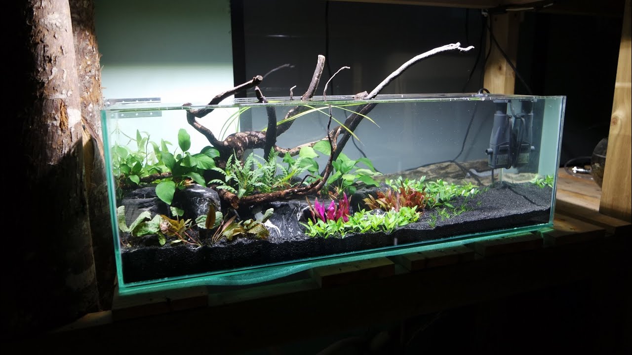 Aquascaping banded rocks / Montaje acuario plantado rocas veteadas