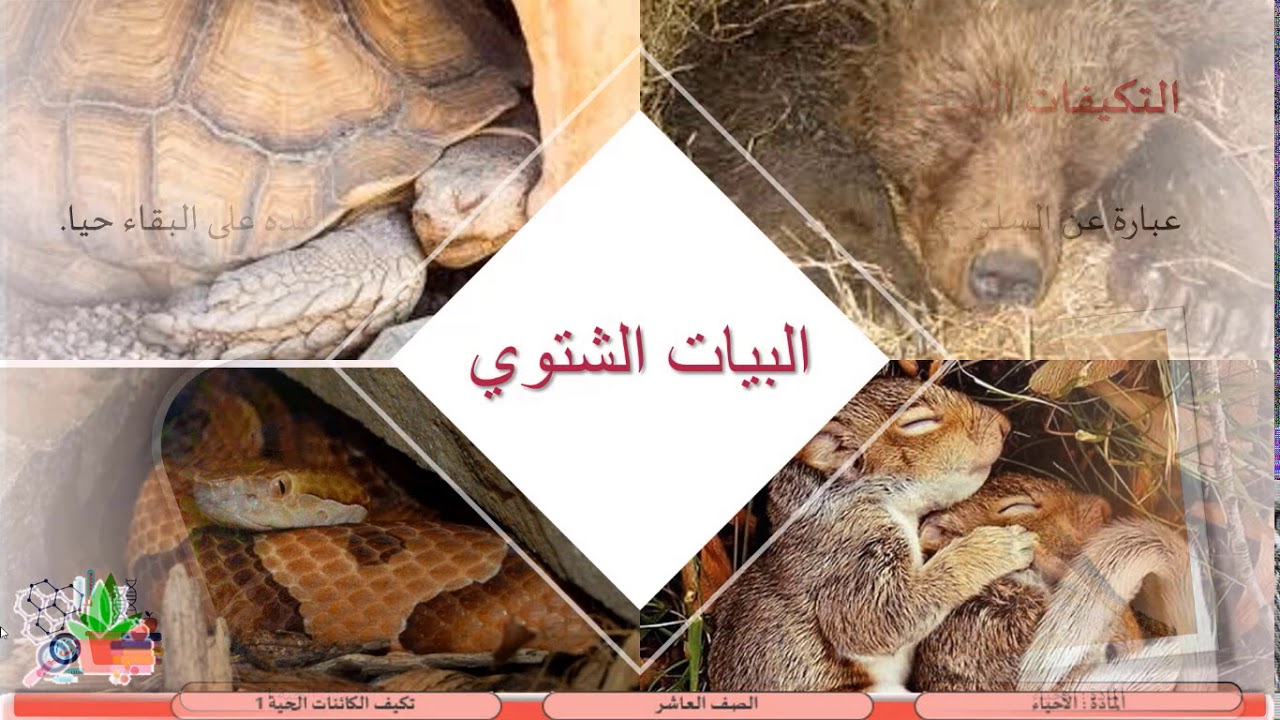 الصف العاشر     الأحياء   التكيف