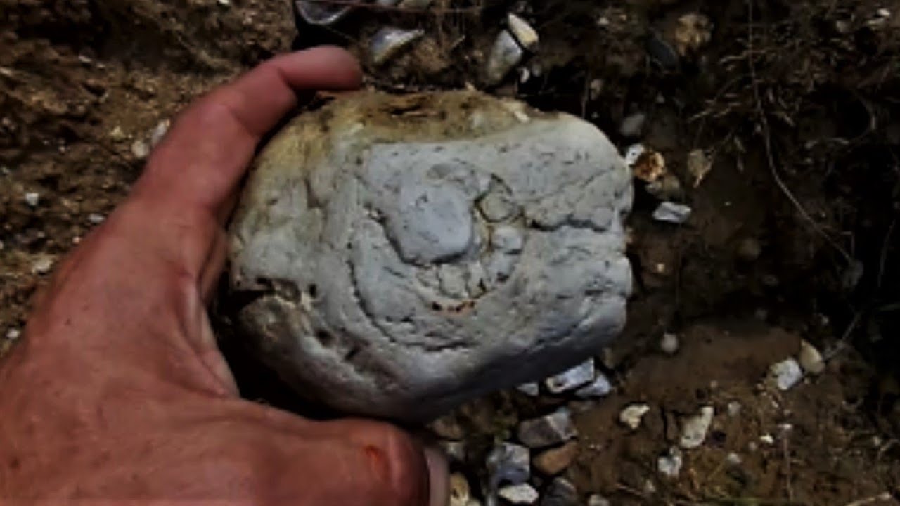 Jurajski AMONIT W KRZEMIENIU (Siliceus Ammonite)