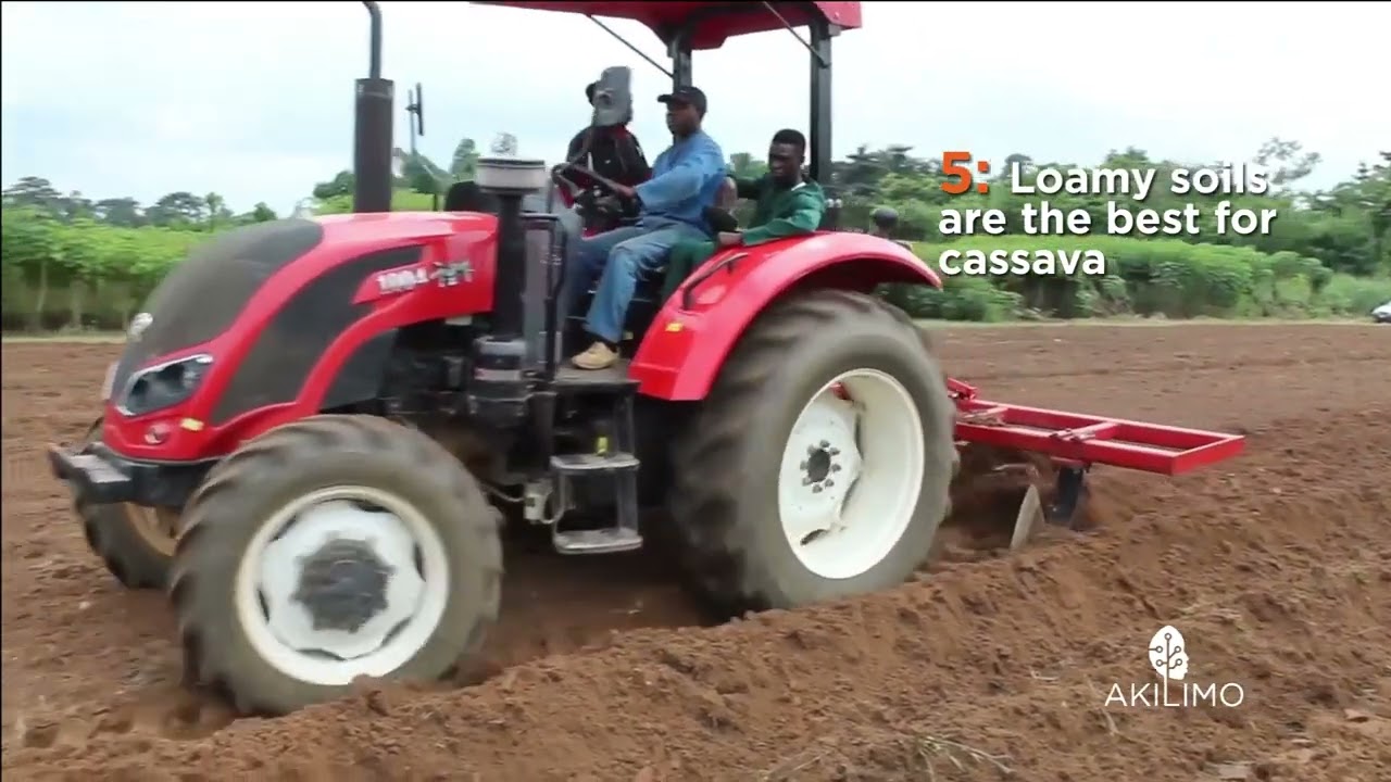 Best planting practices & weed control 4
